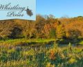 WhistlingPines2