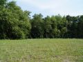 Woods Rush Creek B1L1 Creek Hill Custom Homes