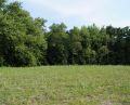 Woods Rush Creek B1L1 Creek Hill Custom Homes