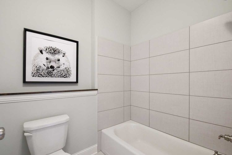 Web Friendly 3651 Landings Drive Excelsior MN 40