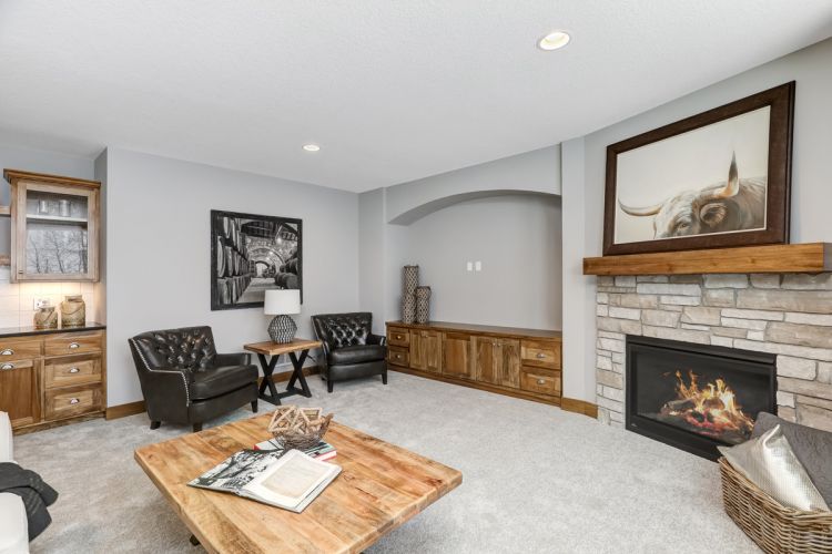 7508 Walnut Grove Ln N Maple Grove Custom Basement