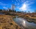 4970 Zircon Lane North Plymouth MN Creek