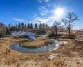 4970 Zircon Lane North Plymouth MN Creek2