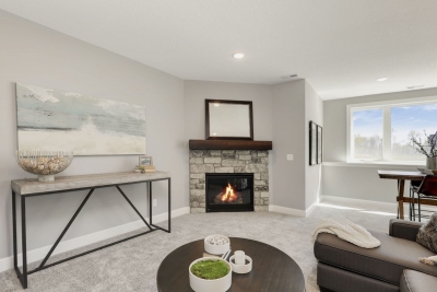 Gas fireplace